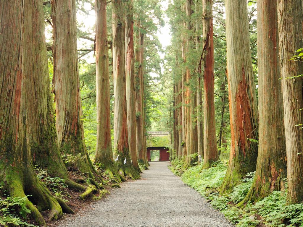 Hotel Tsubakino Yamanouchi  Εξωτερικό φωτογραφία